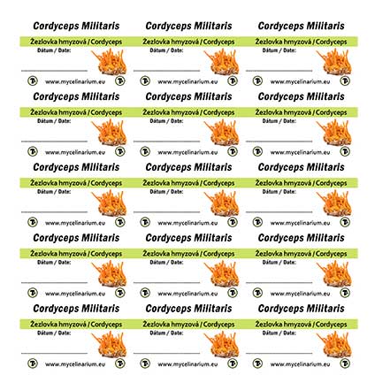 cordyceps militaris labels