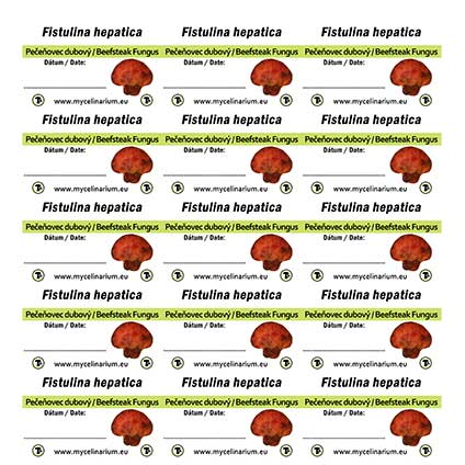 fistulina hepatica labels