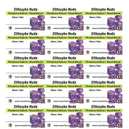 clitocybe nuda labels