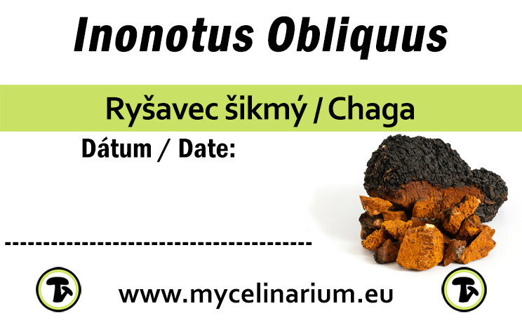 Chaga