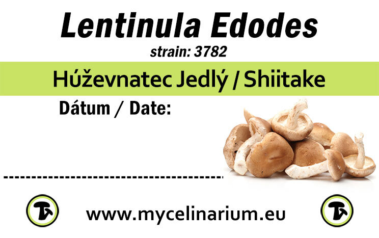 lentinula edodes 3782