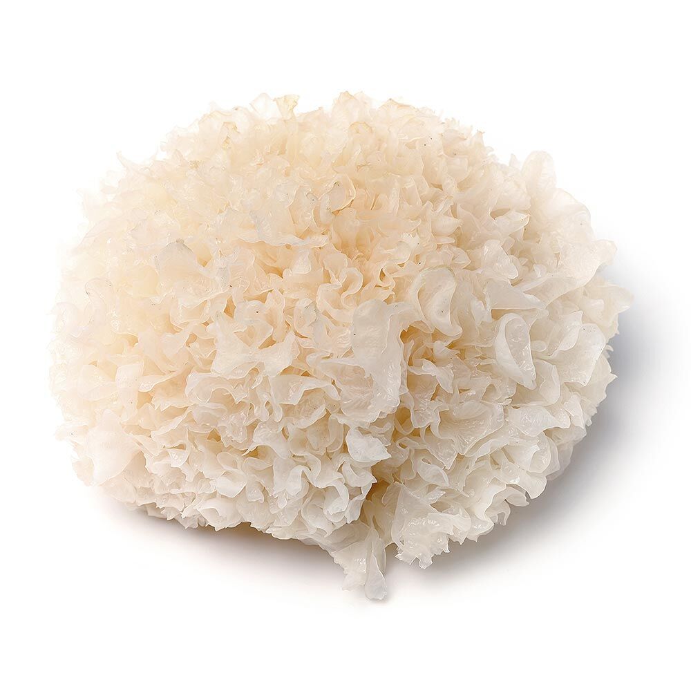 Tremella fuciformis